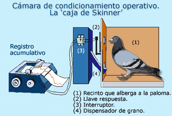 Resultado de imagen para conductismo segun  skinner